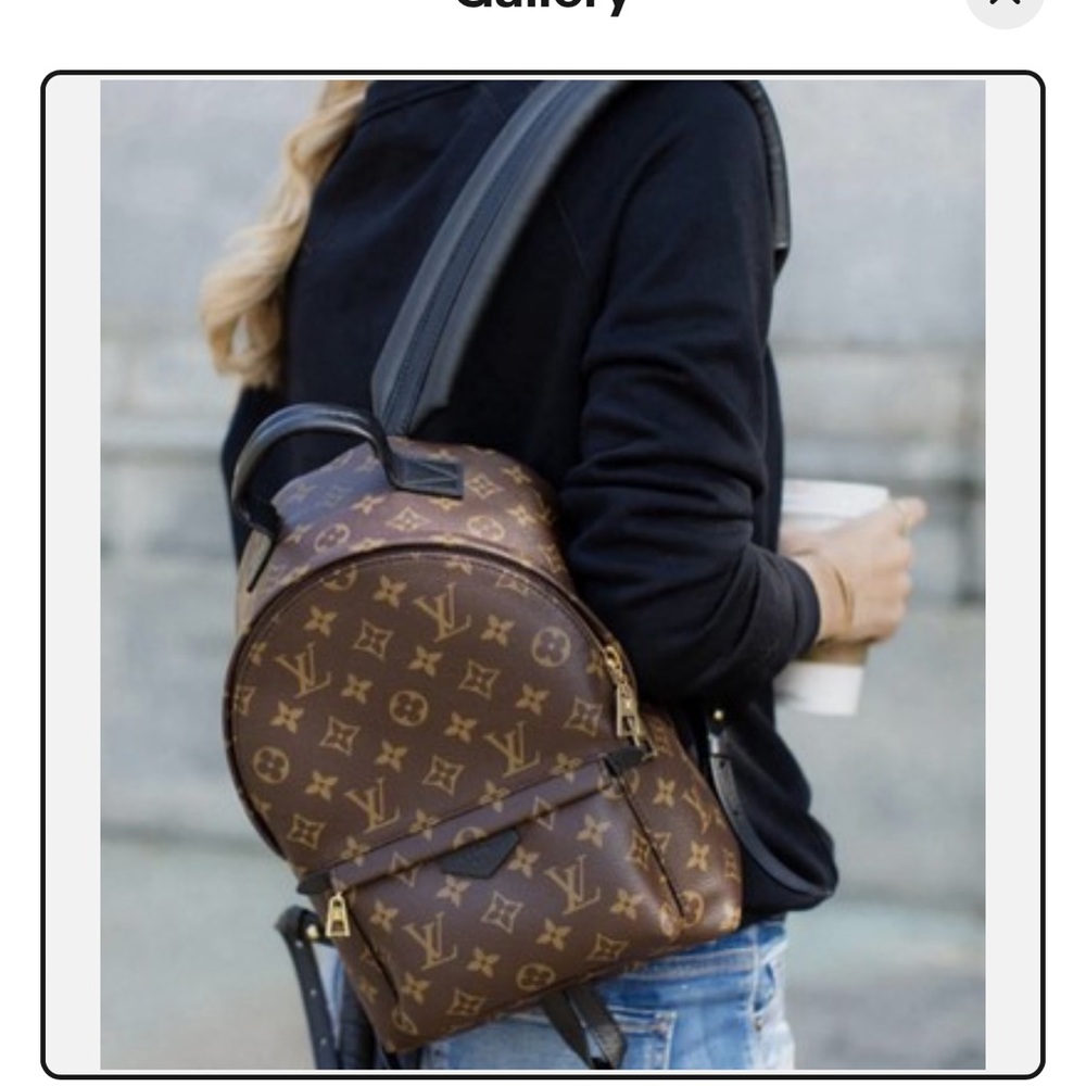 LOUIS VUITTON Palm Springs PM Monogram Canvas Backpack Brown